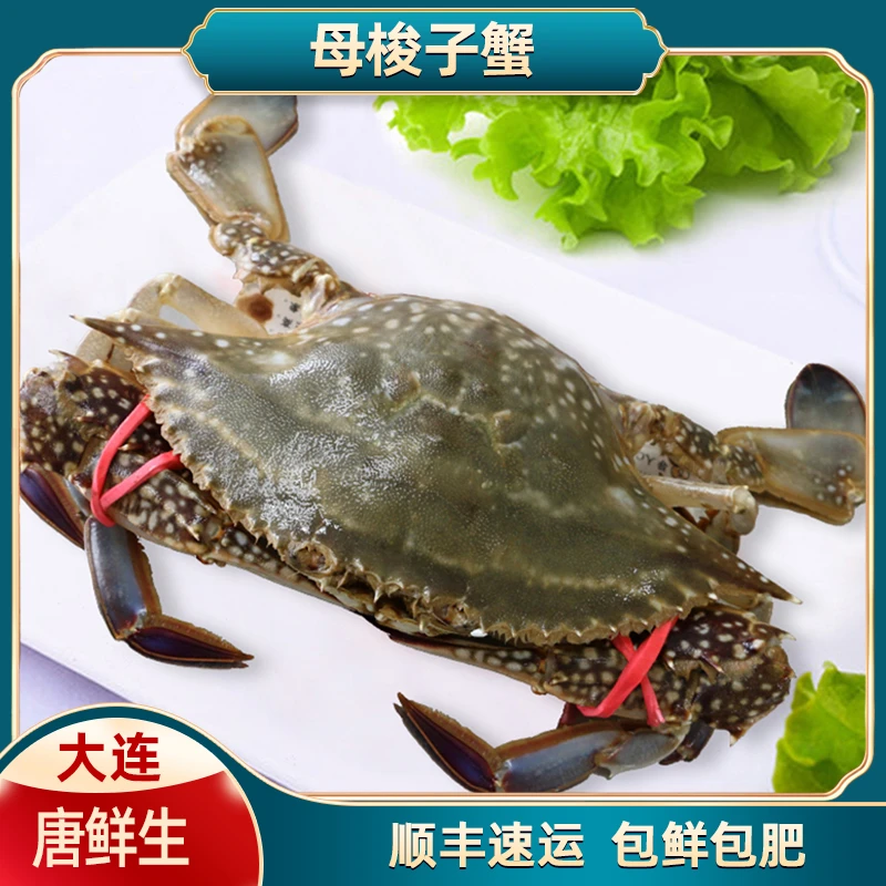 大连皮口梭子蟹飞蟹包鲜包肥不包活