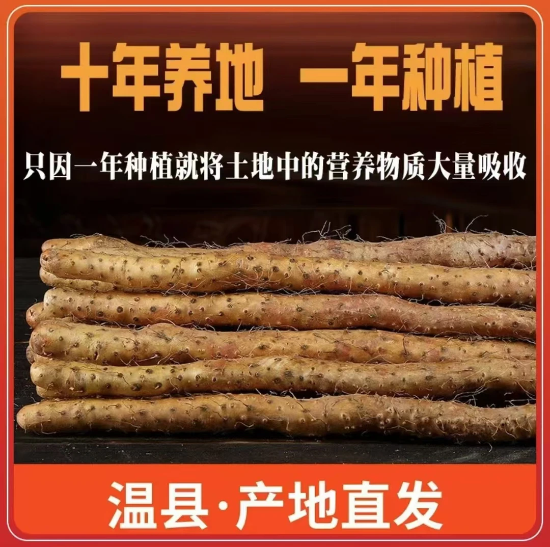【商丘邮政专属】铁棍山药垆土正宗产地直发温县怀山药现挖现发