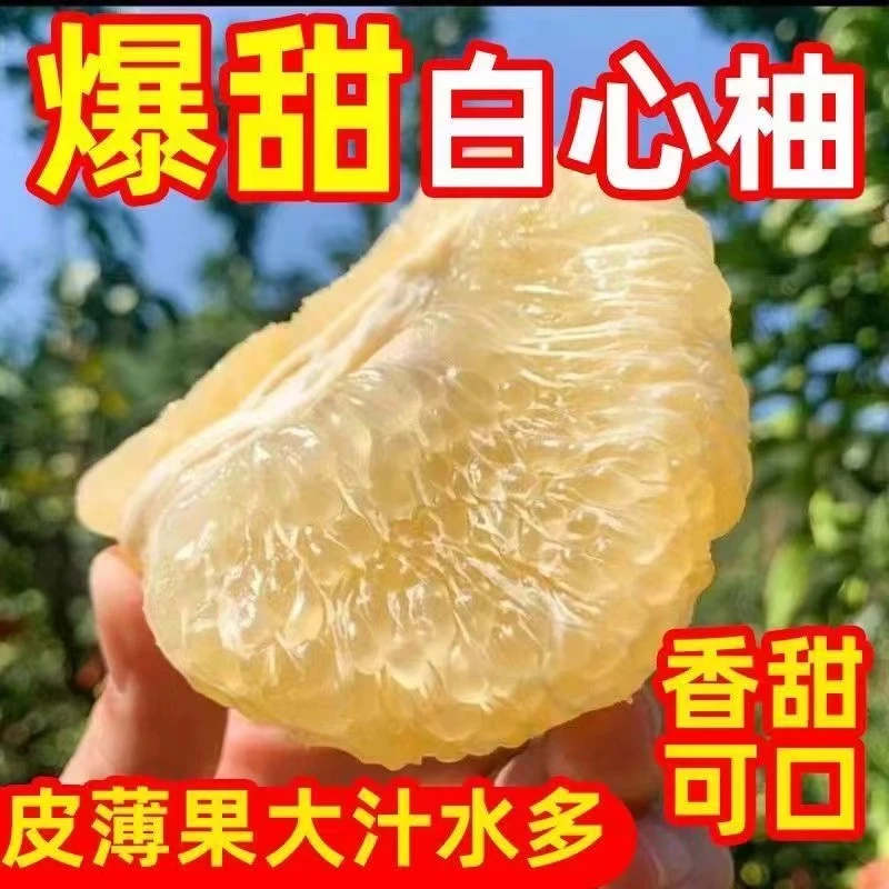 精选心蜜柚新鲜水果浓郁多正宗白心柚白肉香甜到手整箱包邮zb