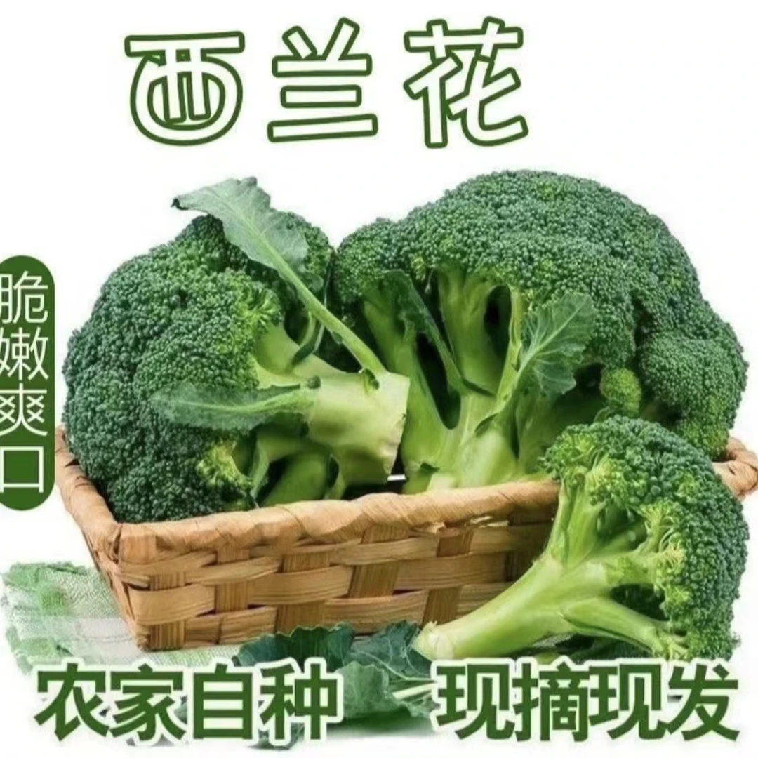 湖北现摘花椰菜蓝花绿色花菜农家时令蔬菜菜花西兰花新鲜包邮