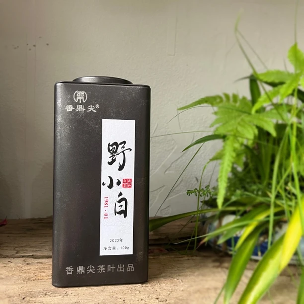 香鼎尖1981·01野小白 2022年荒野小菜茶 政和白茶贡眉100g/罐