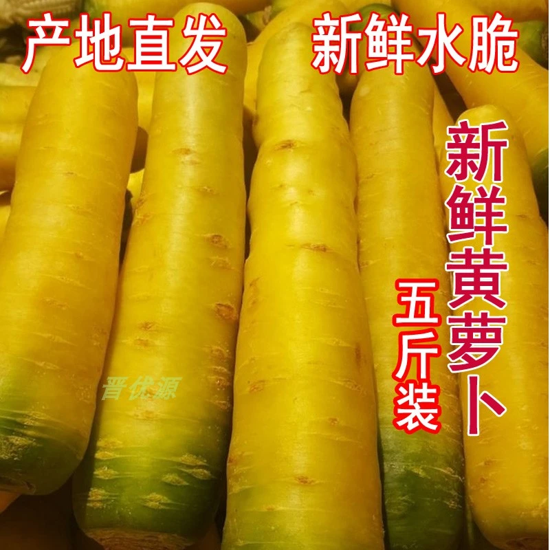 新疆新鲜黄萝卜新疆口味手抓饭黄胡萝卜农家自种生吃榨汁5斤包邮