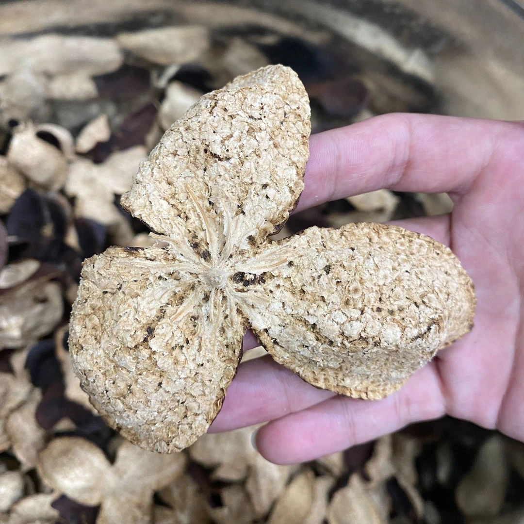 2017东甲原枝大红皮  正宗新会陈皮 冰糖甜 花香浓郁 收藏送礼