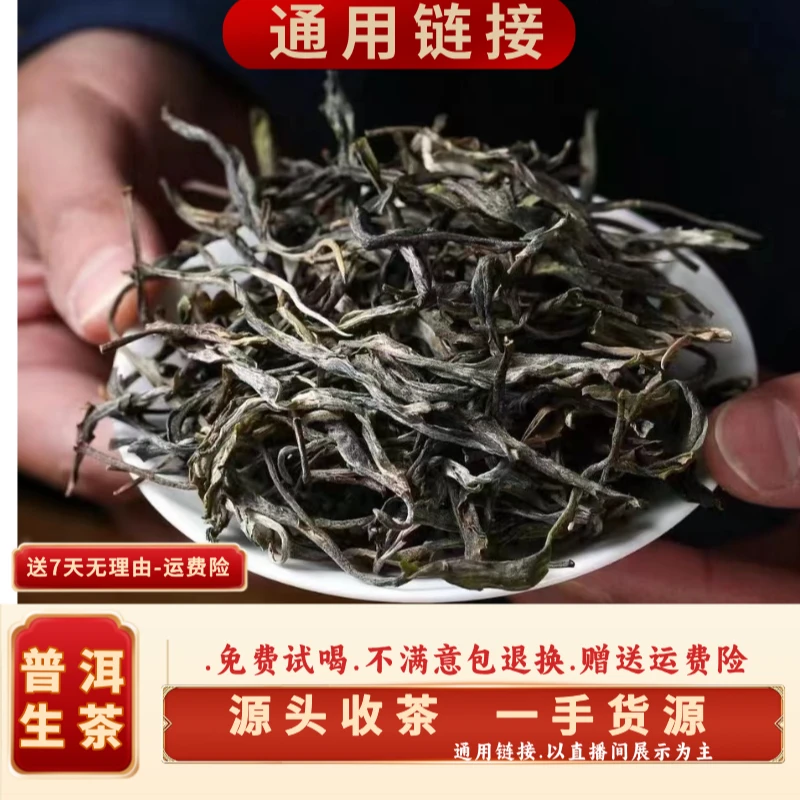 (CN741)ltm/23年春/正气塘（小冰岛）古树纯料/晒青毛茶/100g散装