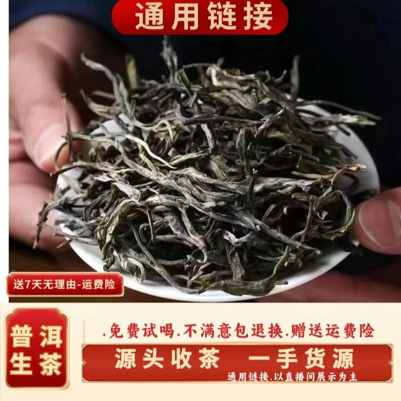 （CN327）lds/2023年春/包谷地43号古树纯料/晒青毛茶/250g散装