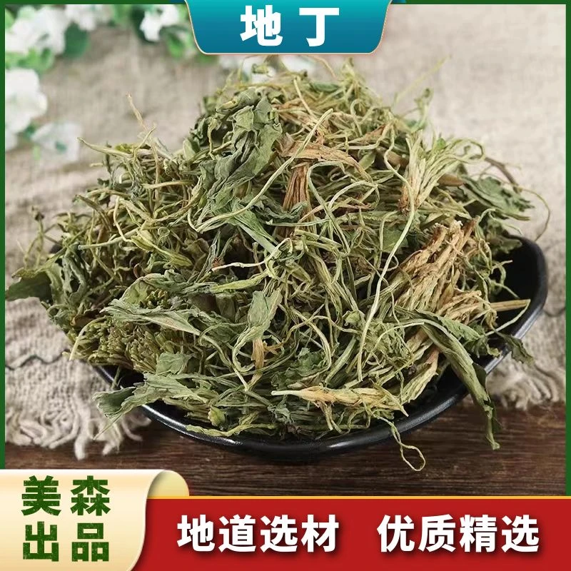 紫花地丁正品精选犁头草地丁草泡水野生苦地丁100g/1000g非金钱草