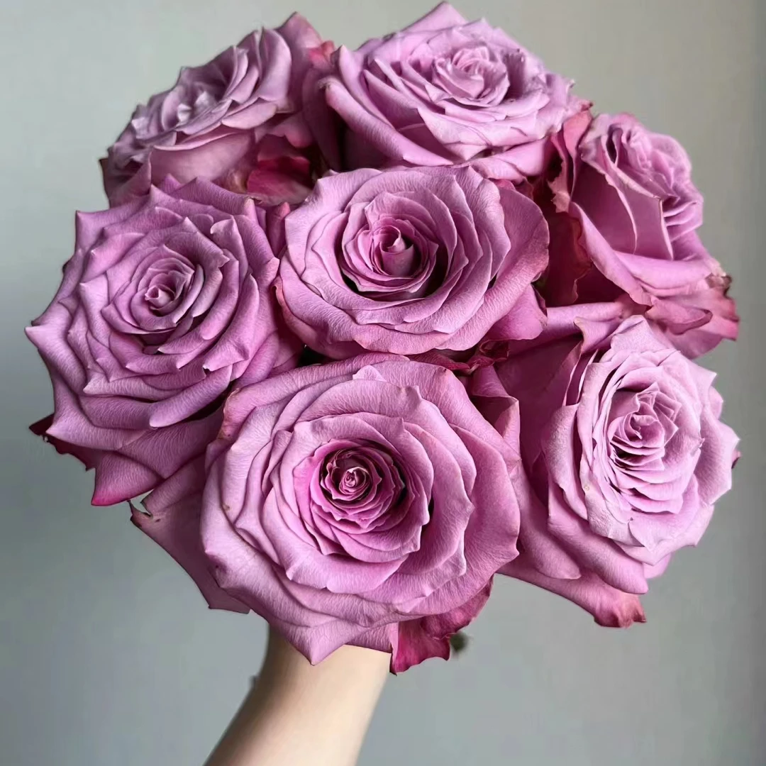 花+碧海单头玫瑰--实物以直播间为准