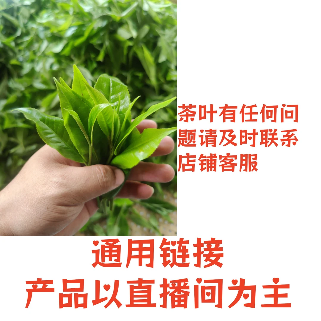 小灿 宠粉链接5  茶头砖500g 通用链接普洱茶