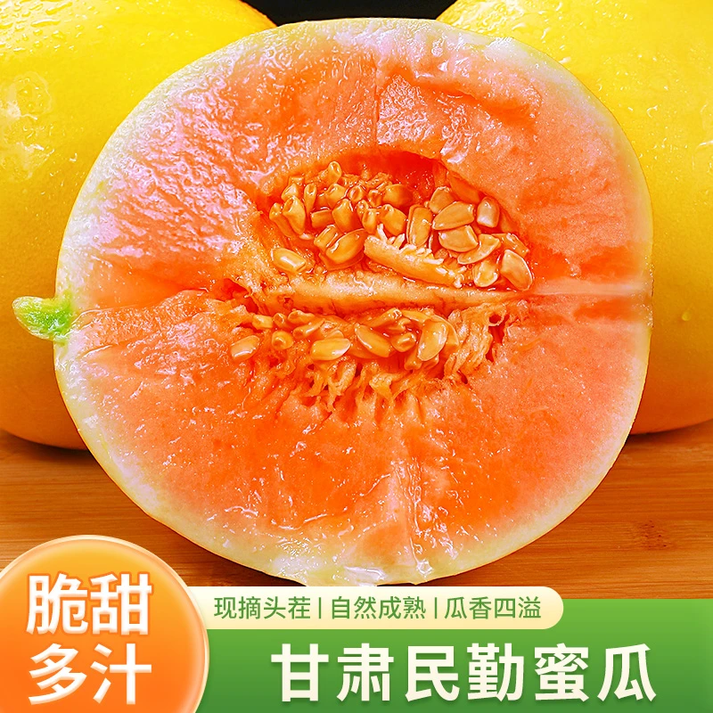 【脆甜多汁】甘肃民勤蜜瓜沙漠甜瓜4.5-9斤黄河蜜香瓜观赛搭子包邮