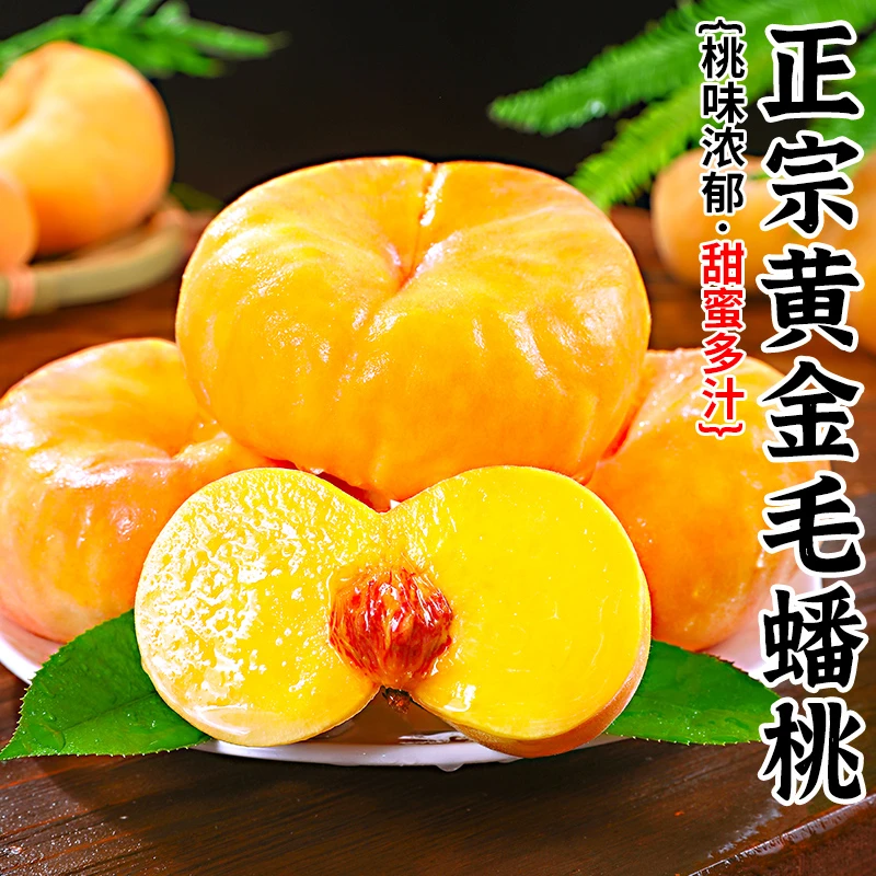 黄金毛蟠桃可放软果香浓郁蜜桃4-4.5斤约7-12枚装