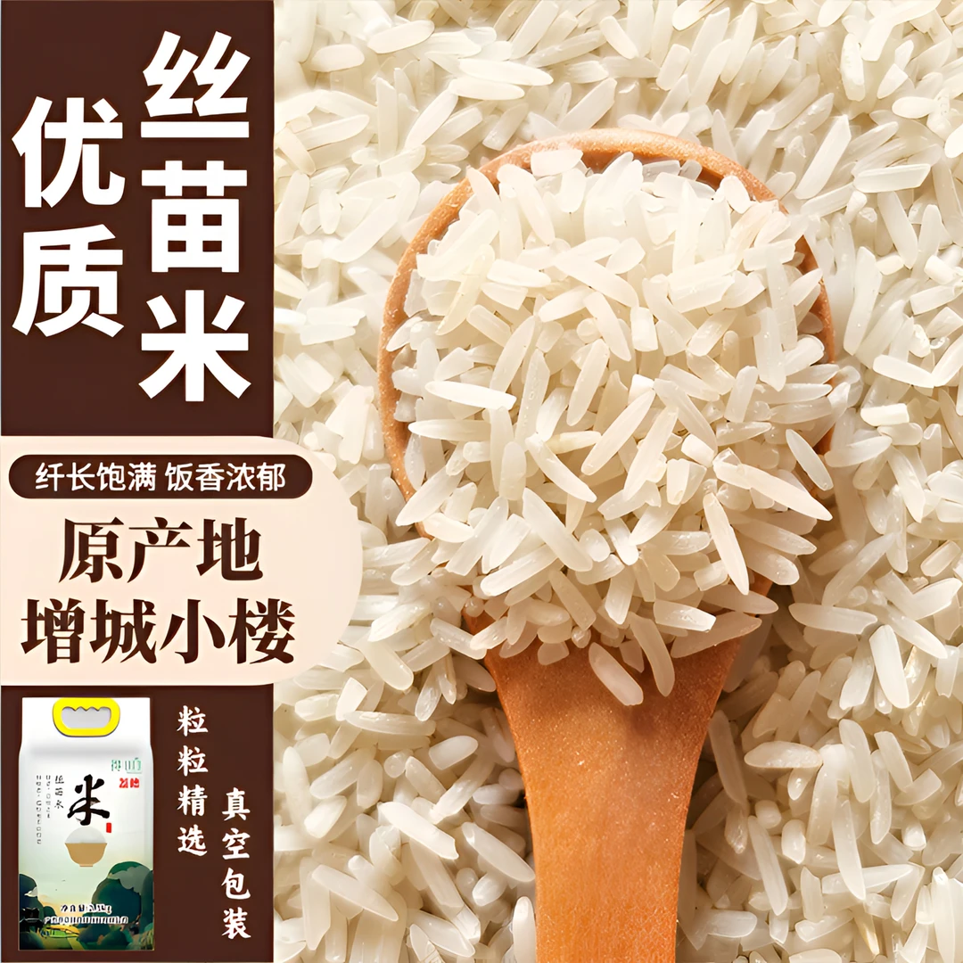 得田增城荔穗丝苗米2025年新米真空包装大米10斤一袋优质大米5斤