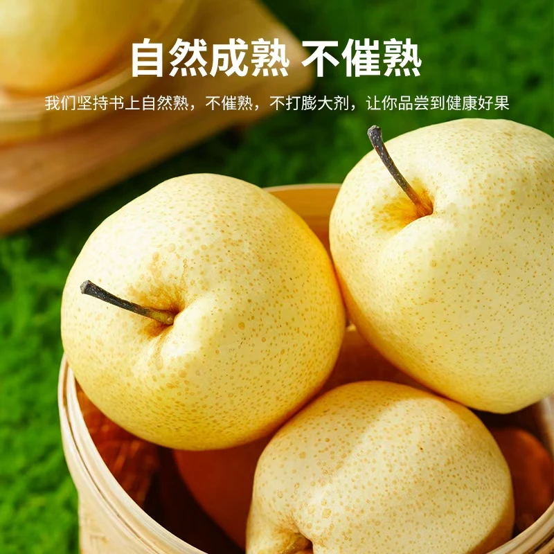 正宗山西贡梨皮薄味美平遥酥梨