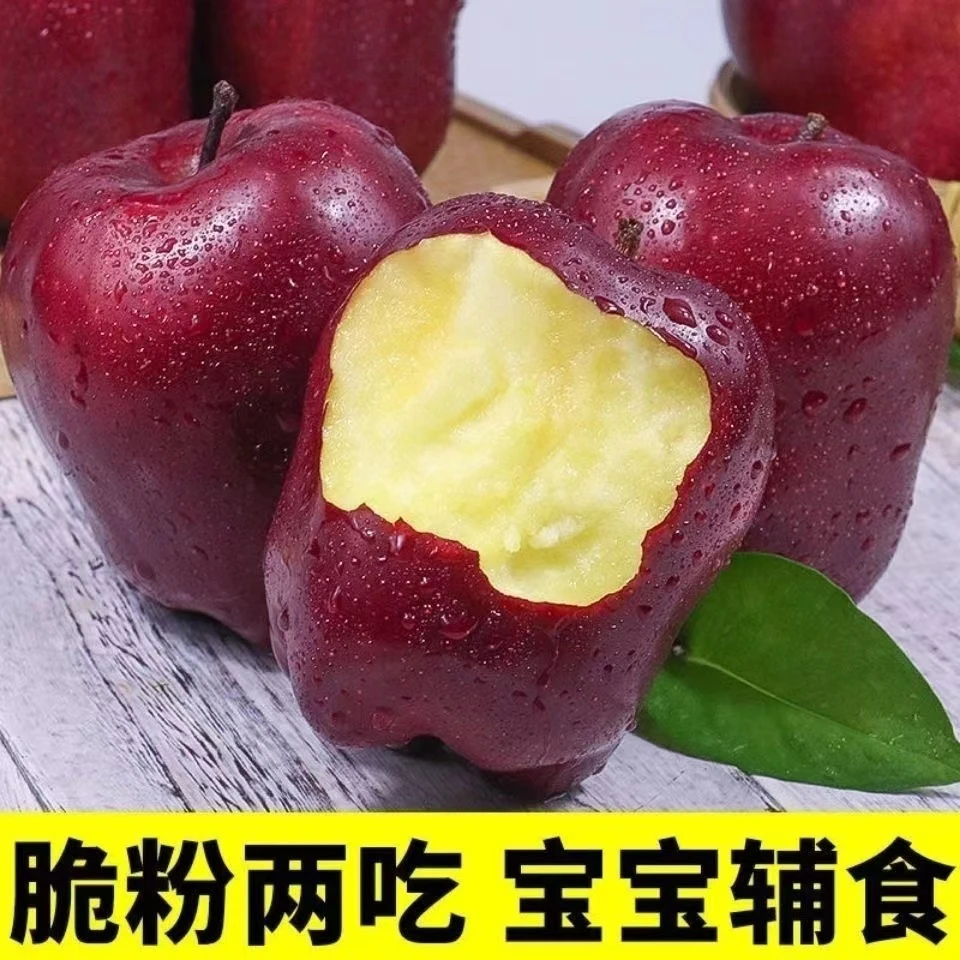 【脆粉两吃】甘肃天水花牛苹果 4.5斤当季水果红蛇果新鲜一整箱包邮