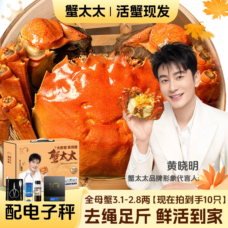 【活蟹】蟹太太精品大闸蟹全母蟹3.1-2.8两8只+2只装现货鲜活礼盒装