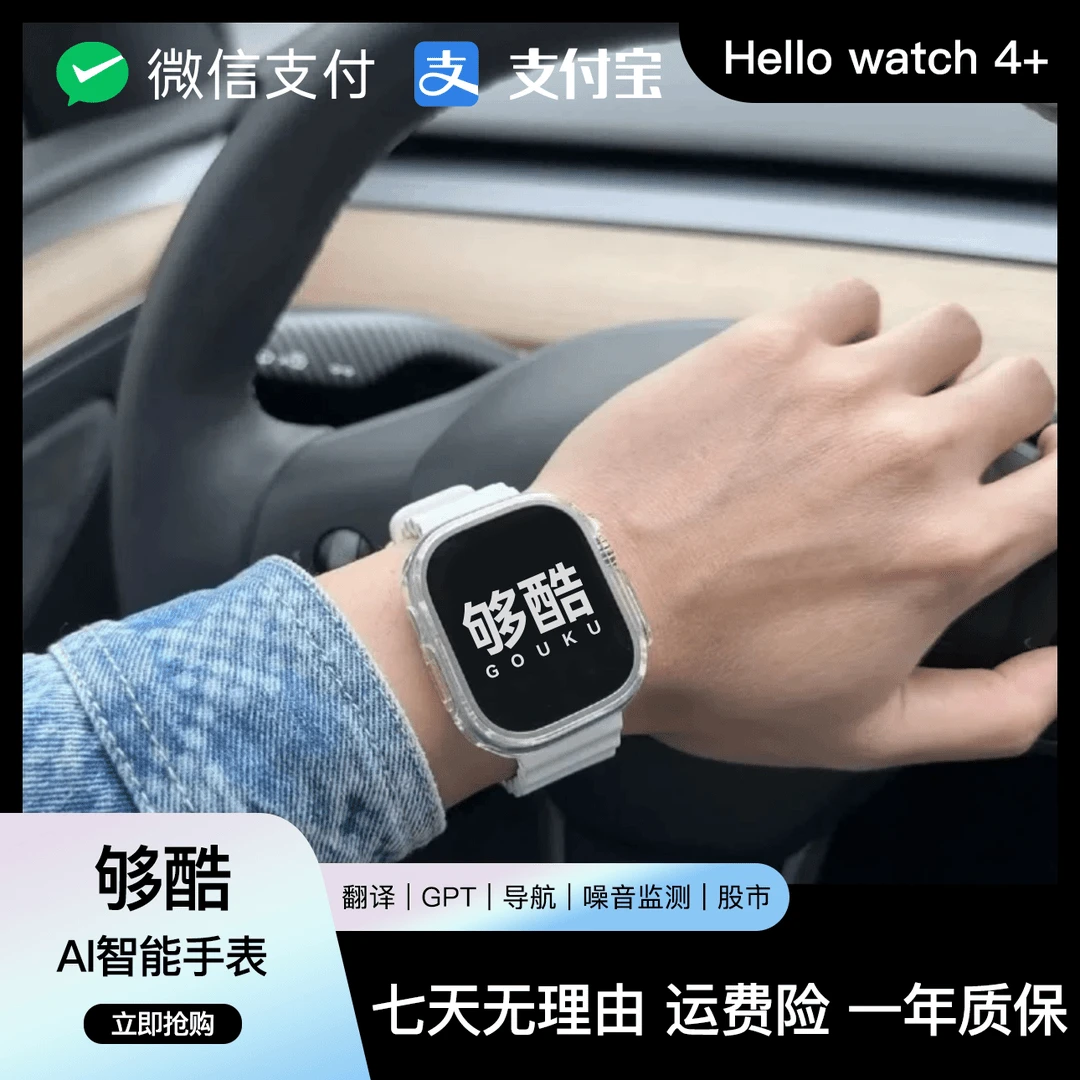 未使用 Microwear/微穿戴 够酷Hellowatch 4长续航 双支付 电子书