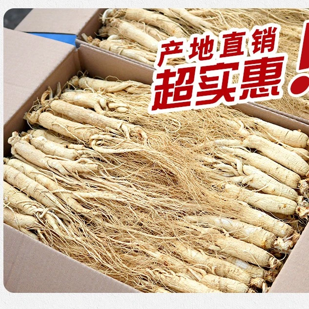 干人参 白参 原产地发货实惠生晒参吉林特产泡酒煲汤炖珍品食用