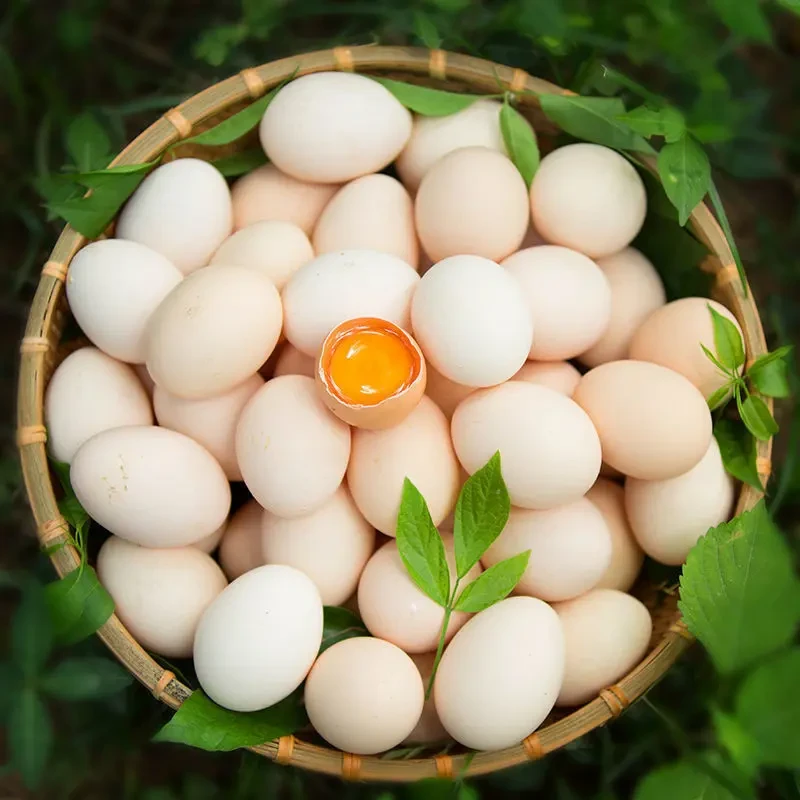 【开春破价】新鲜土鸡蛋农家浓香谷物蛋散养宝宝蛋散养营养土鸡蛋