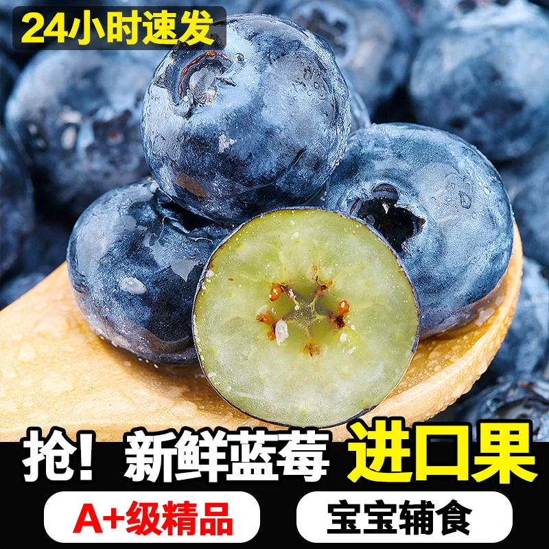 【送4盒】LM蓝莓鲜果云南高山新鲜花青素水果100g/1盒8盒共800g