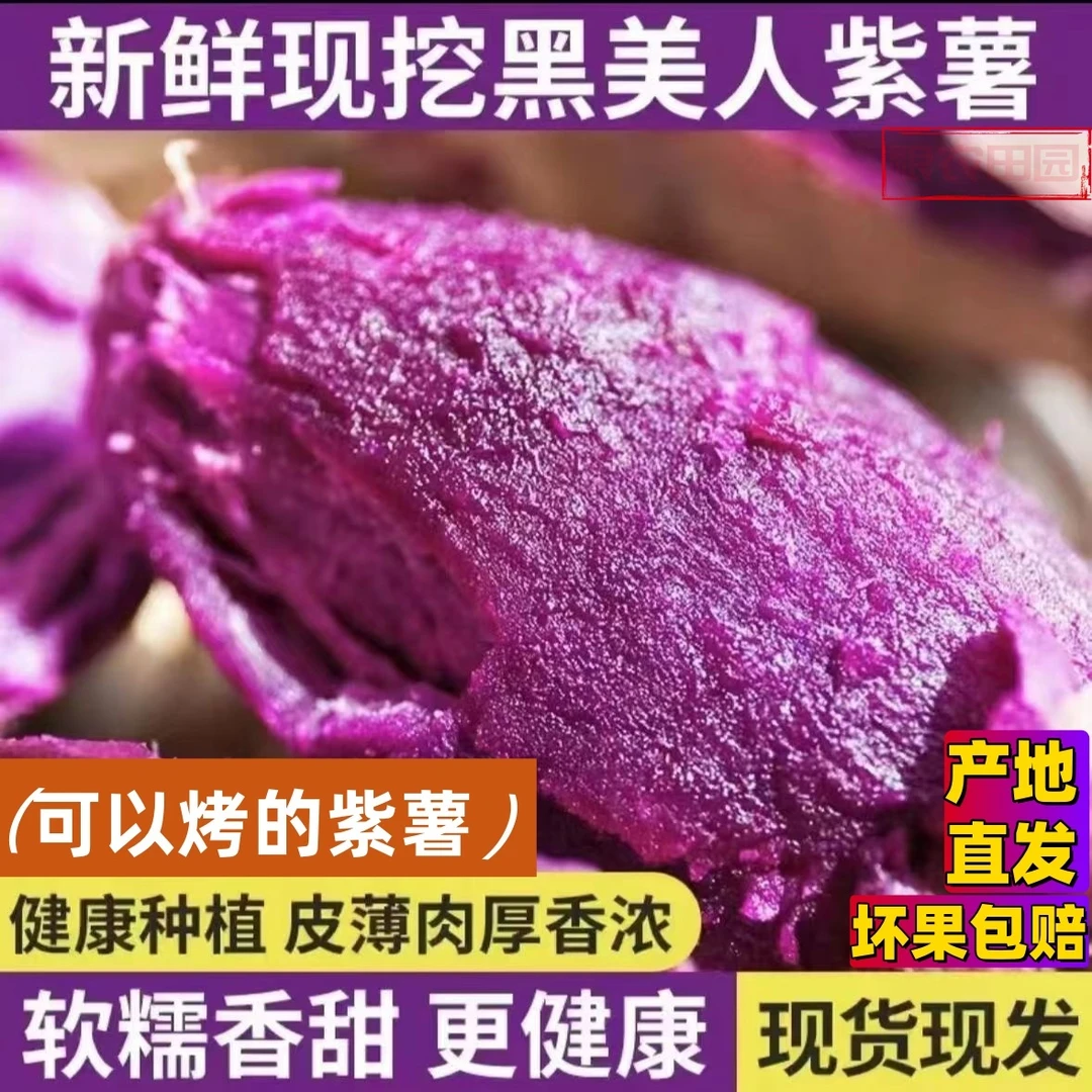 沙地山东紫薯新鲜紫心正宗黑美人减脂代餐烤薯农家糯香地瓜番薯