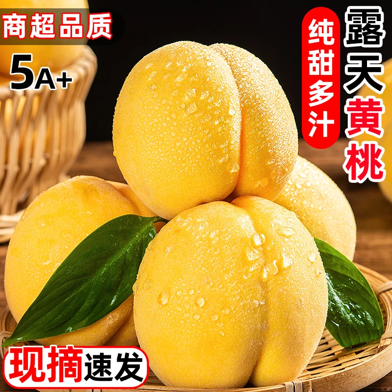 陕西黄河滩脆甜黄桃新鲜黄金蜜桃皮薄新鲜采摘爽口现发包赔多汁