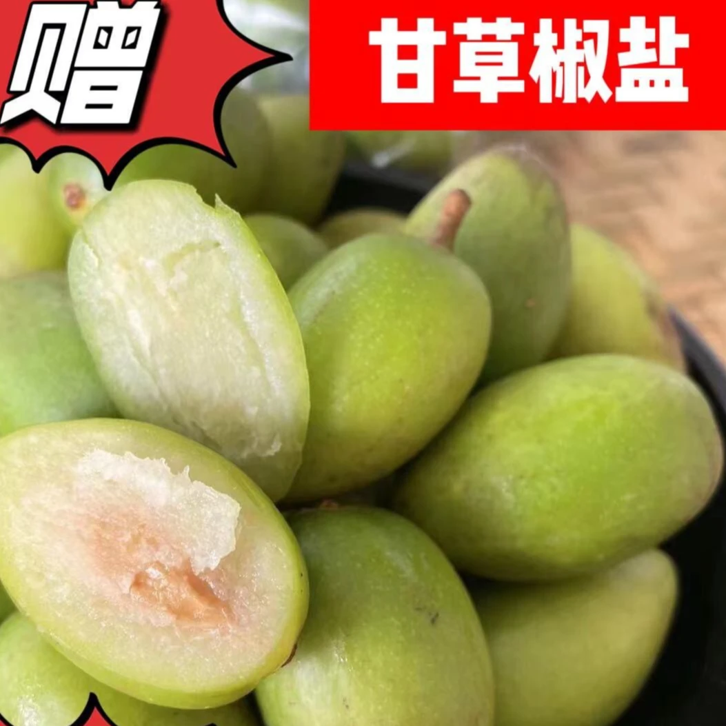 广西老树橄榄》新鲜黄橄榄果包邮当季青橄榄煲汤泡茶腌制1斤包邮