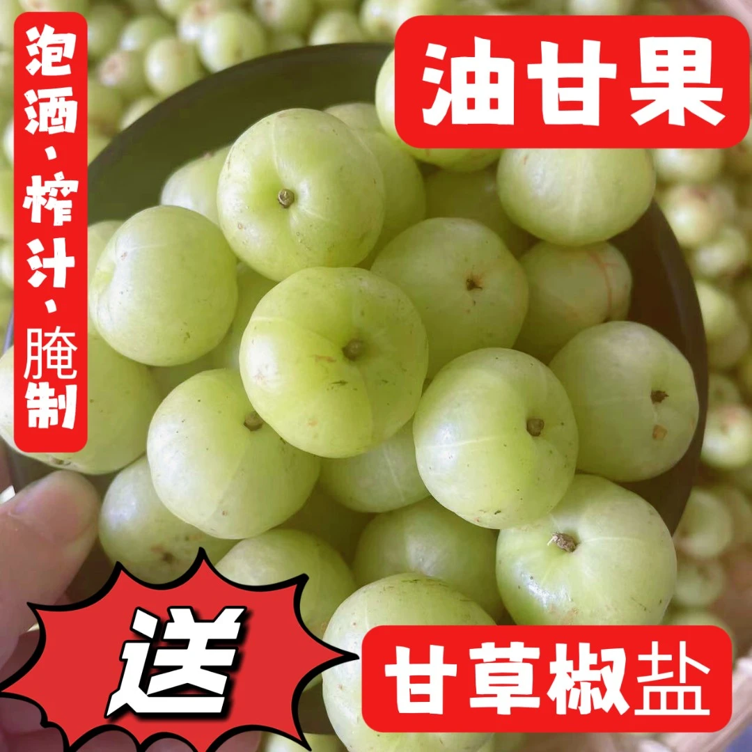 广西油甘果余甘果酸爽回甘清脆甘甜橄榄1斤包邮新鲜榨汁