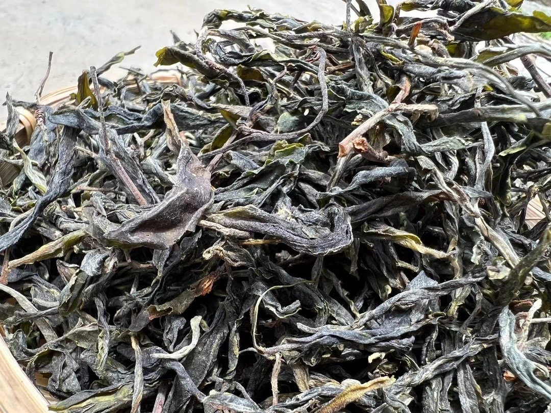 【昔归忙麓山】24年私人高订百年古树春茶纯料小方片8克*10片