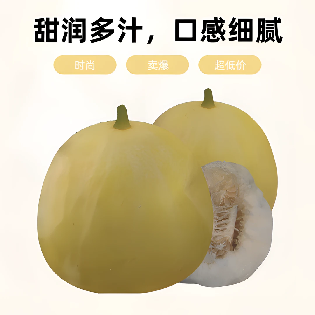 非常完美 早熟薄皮甜瓜