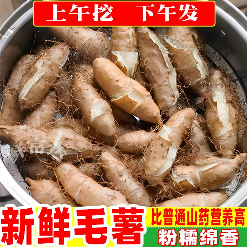 现挖新鲜毛薯淮山怀山药广西甜薯野山药白心脚板薯甜糯铁棍番薯