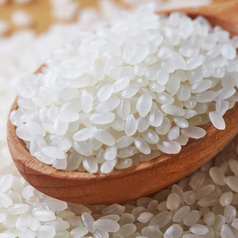 2024年新米 东北庆安大米10斤越光圆粒小町香新米5kg