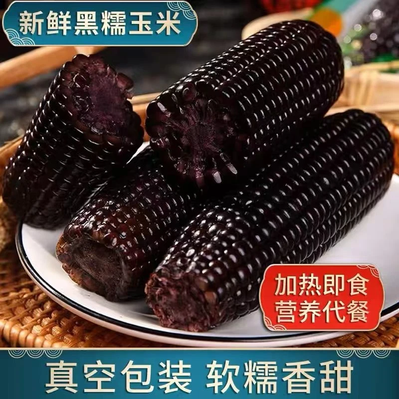 【山西黑糯玉米】新鲜糯玉米现摘黑玉米代餐玉米棒即食甜玉米粘玉米