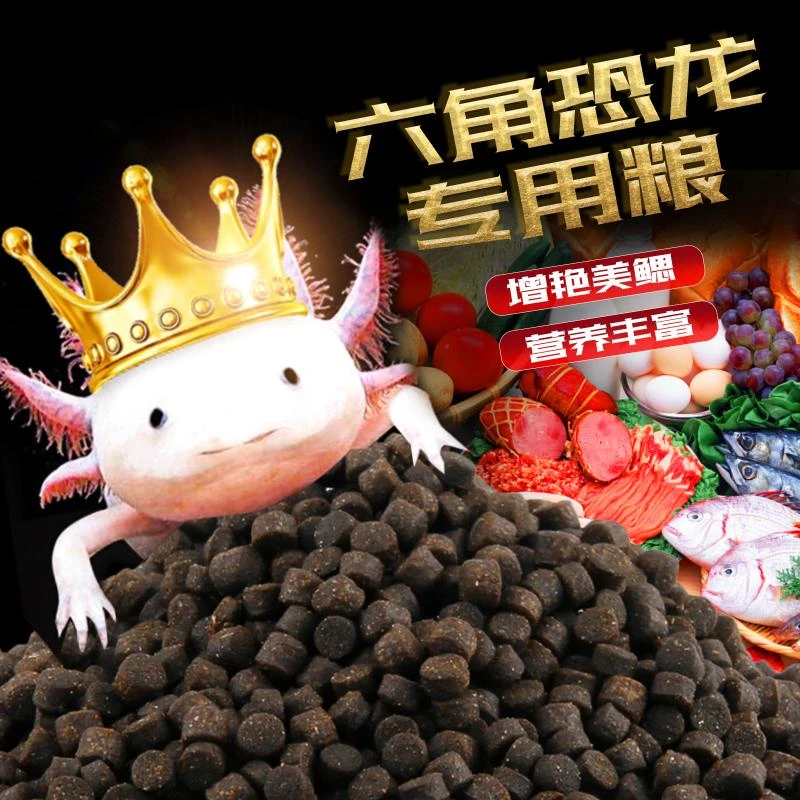 六角恐龙鱼蝾螈饲料鱼食高蛋白东方清道夫娃娃鱼底栖鱼专用下沉型
