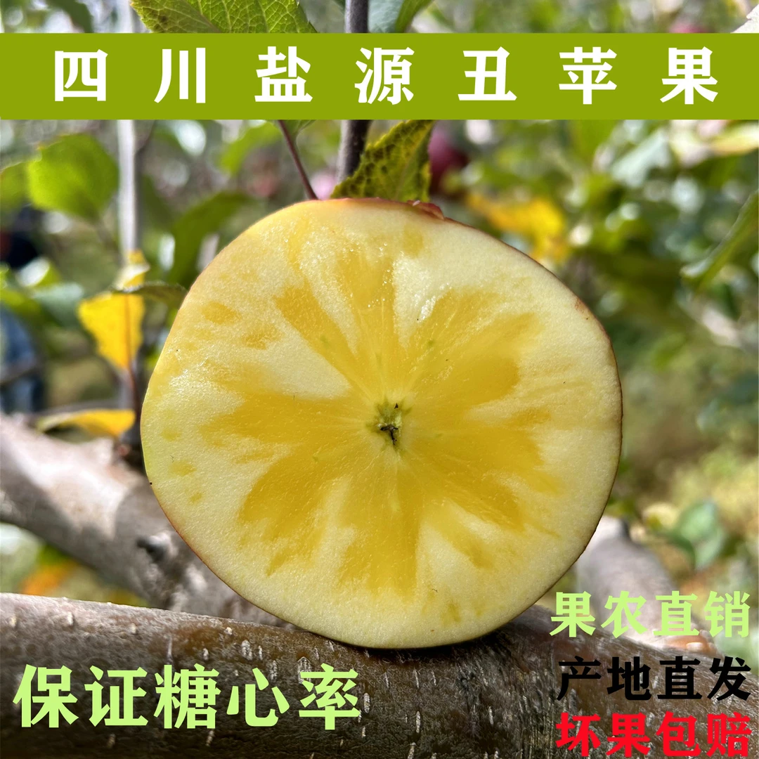 冰糖心丑苹果大凉山盐源苹果大果保证90%以上糖心率