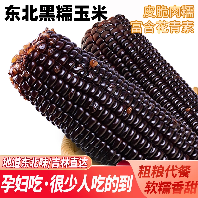 东北黑糯玉米精品【220-280g*10支】甜糯苞米黑玉米早餐真空包装