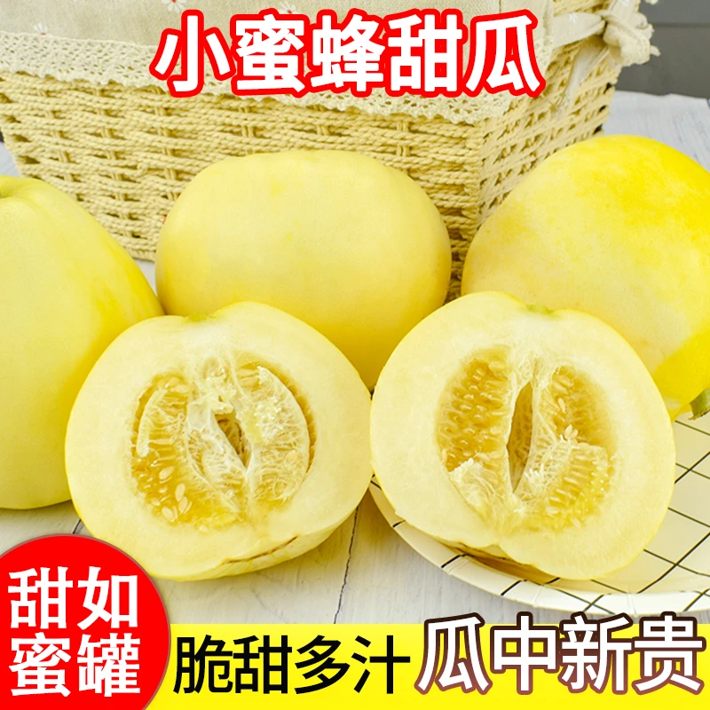 【新鲜采摘,坏果包赔】头茬山东小蜜蜂蜜罐甜瓜脆甜多汁如蜜3斤起