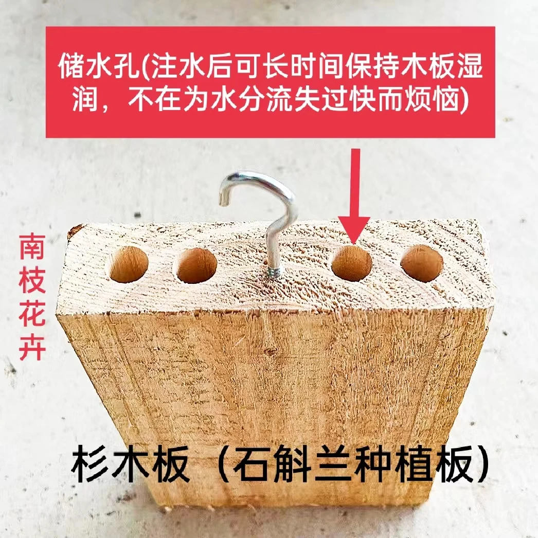 杉木板【可用于种植石斛附生兰科花卉，不易腐根】