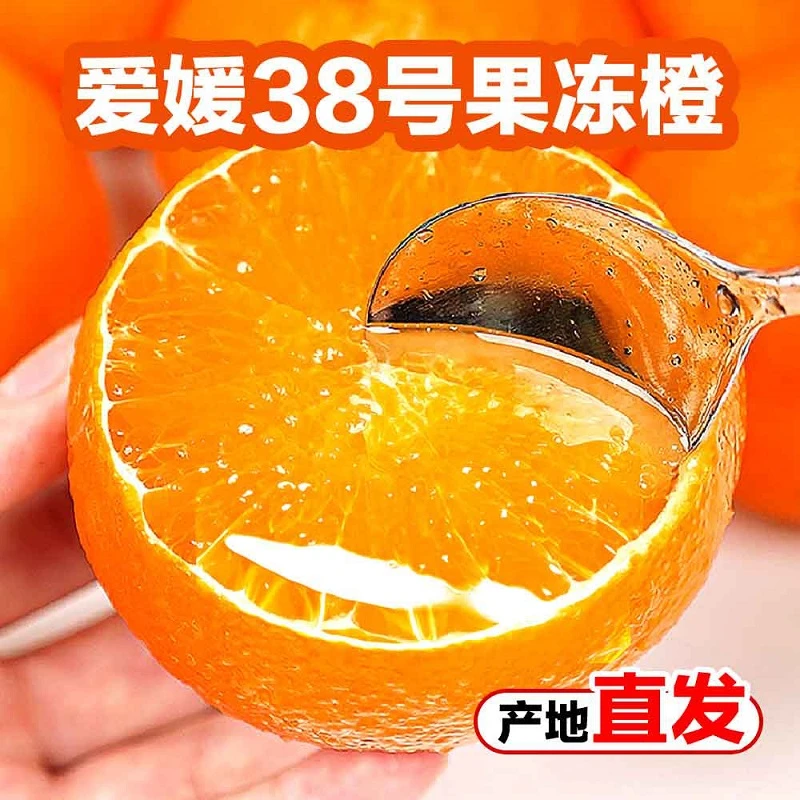 【新鲜采摘】四川爱媛38号果冻橙 香甜爆汁收播橙子水果柑橘4.5-8斤