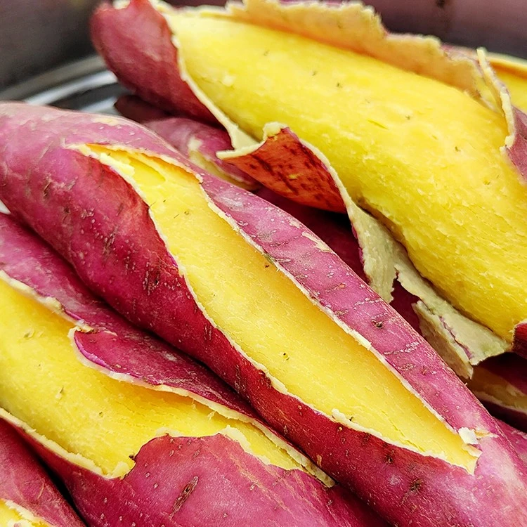 陕西板栗红薯现挖现发沙土香甜种植干面粉甜沙地蜜薯5/9斤包邮