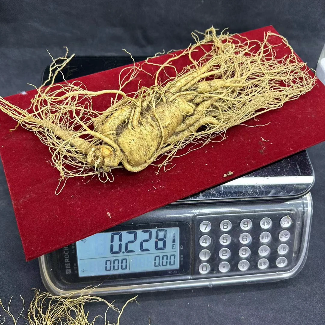 顺丰空运包邮4两以上的新鲜人参200克以上长白山原产地发货