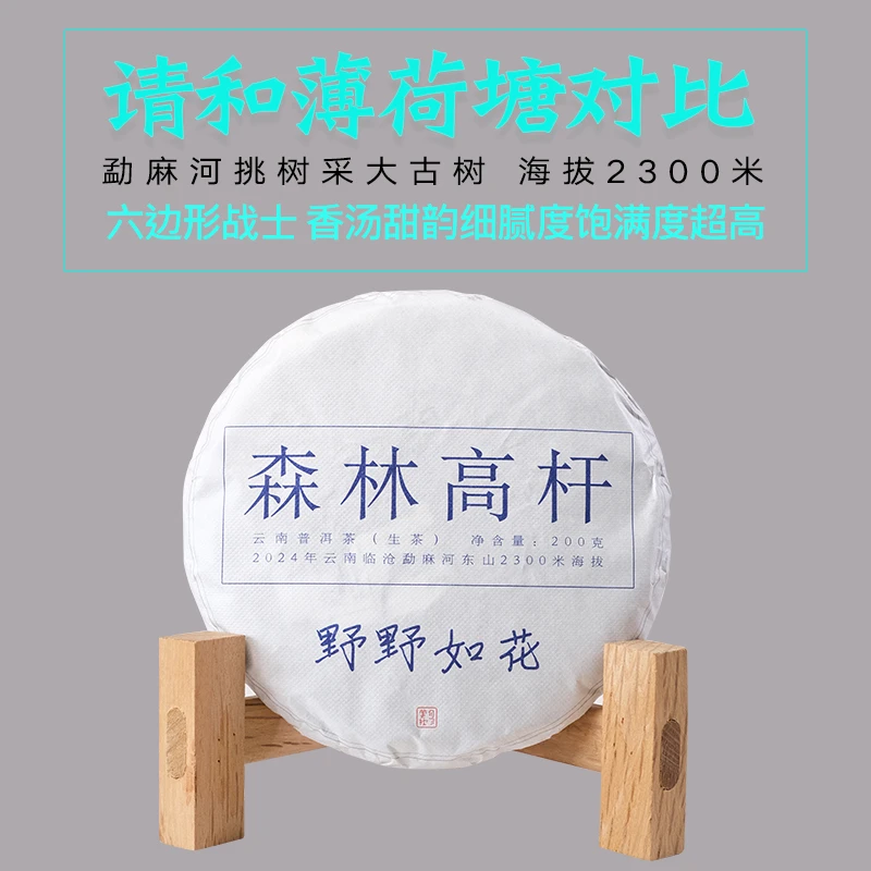 高品质2024年春茶挑树采古树 森林高杆云南普洱茶古树茶生茶200克