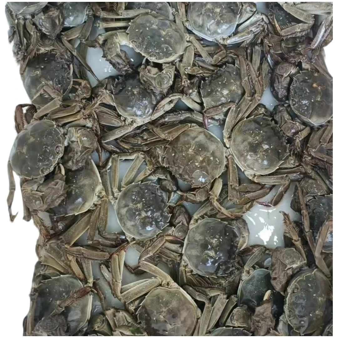 福利款公母各半8只装