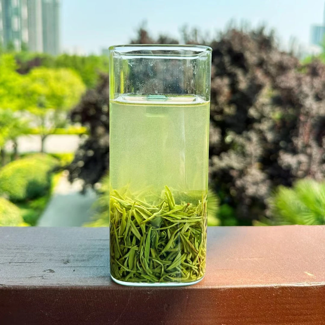 2024新茶信阳毛尖茶叶雨前中芽绿茶茶香炒制醇厚手工