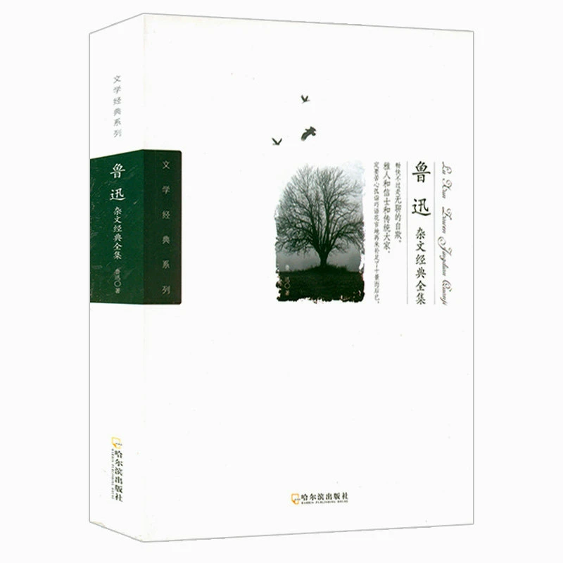 鲁迅杂文经典全集 文学经典系列 鲁迅文集小说杂文集杂文写作精选