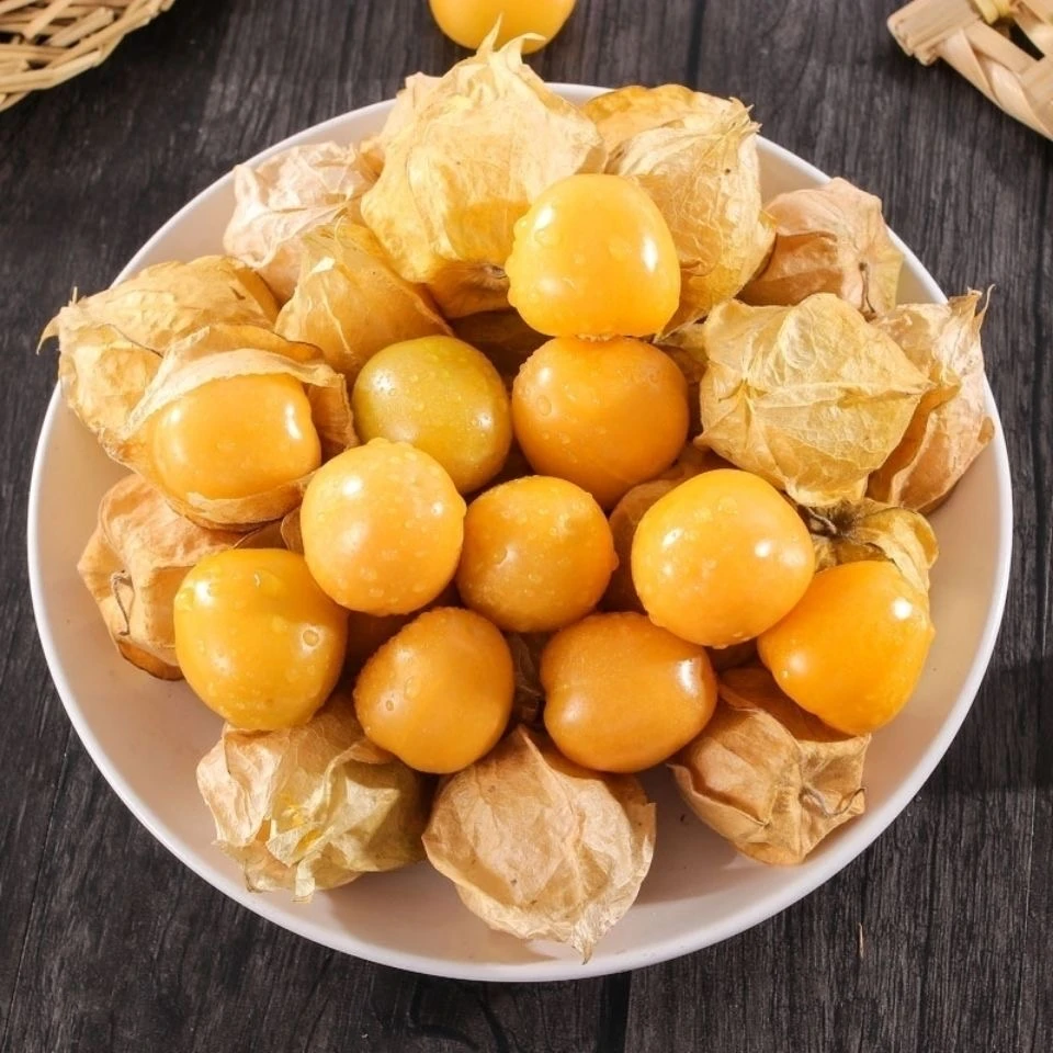 东北特产水果姑娘果新鲜黄菇娘果灯笼果洋菇娘皮薄香甜【顺丰包邮】