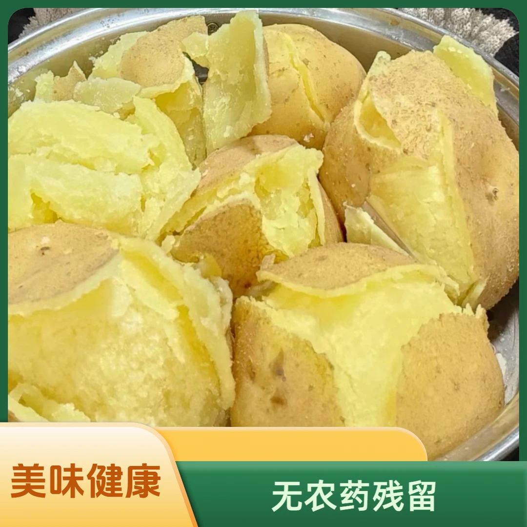 2025甘肃定西新鲜土豆干面粉沙黄心真的好吃黄心土豆农家食用