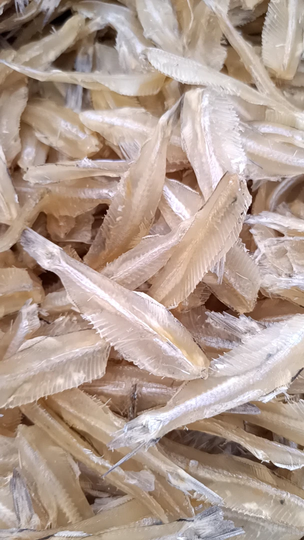 本港江鱼晡-汕尾马宫人家自晒