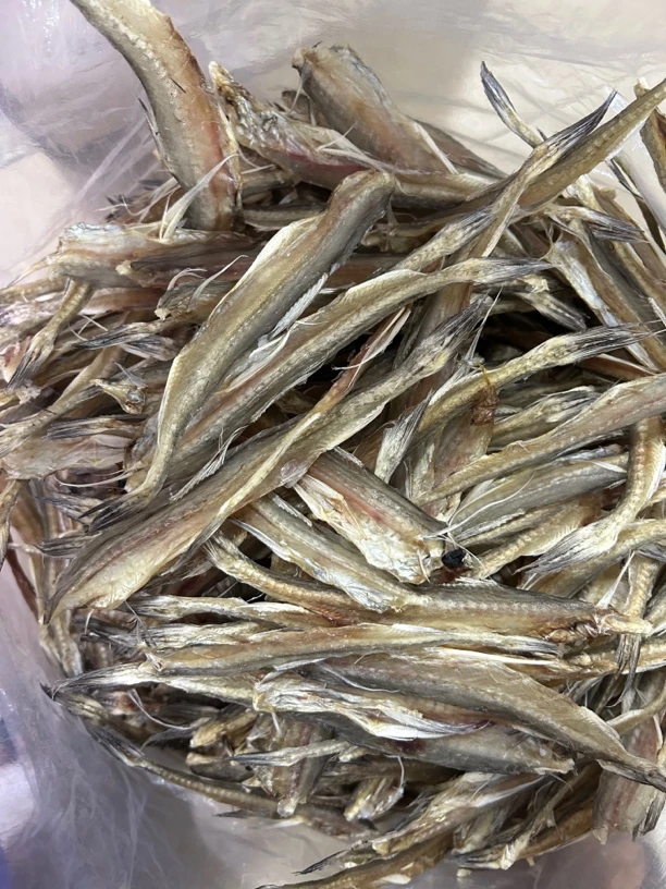 马宫本港仙鱼脯-豆腐鱼干汕尾人家自晒鱼干