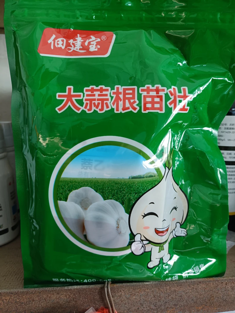 大蒜根苗壮（生根壮苗，增产增收）