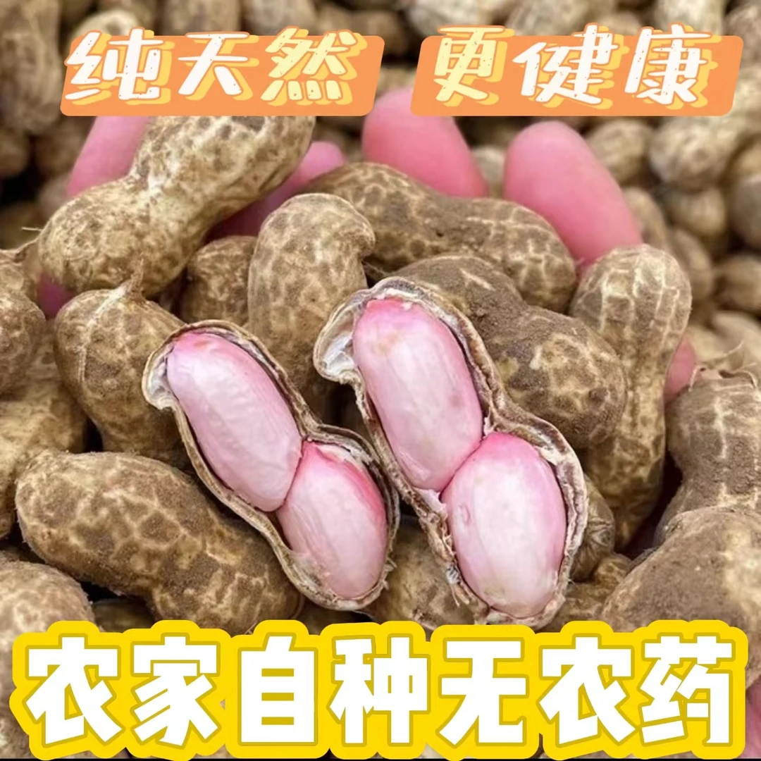 2024年新鲜现挖湿带壳花生带泥鲜嫩粉皮花生农家自种水煮生吃包邮