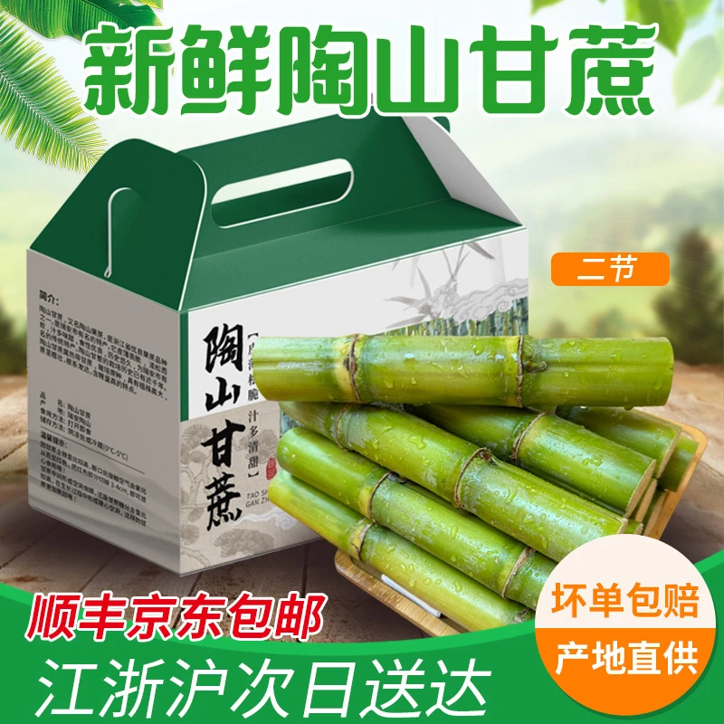 正宗陶山甘蔗两个节家庭口感脆甜青皮绿皮高端特产清甜礼盒装特价